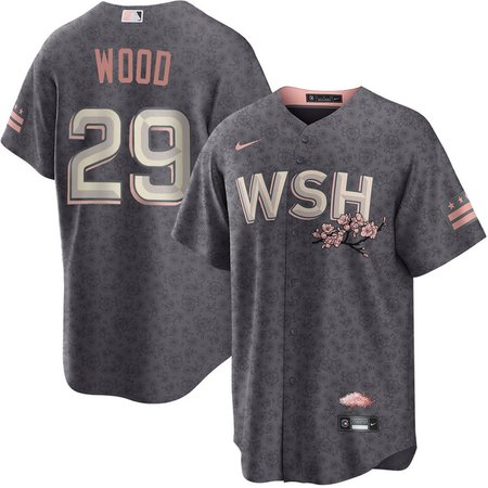 Men's Washington Nationals #29 James Wood Nike Gray Alternate Limited Player Jersey