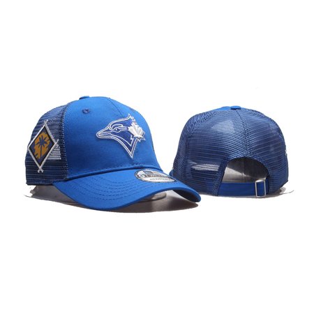Toronto Blue Jays Adjustable Hat